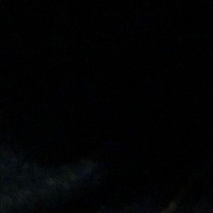 Meet your Posher, Donovan